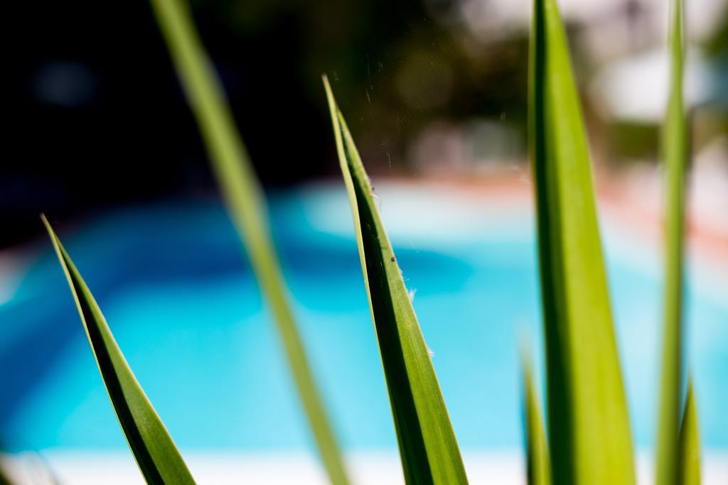Hotel Le Rocce Magione Εξωτερικό φωτογραφία